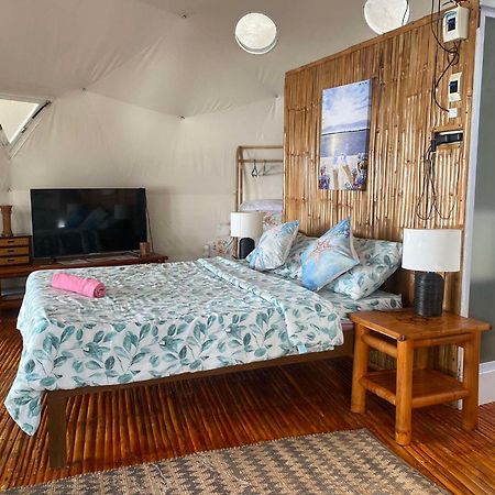 Glamping Dome Dauin Beach + Dive Resort Exterior foto