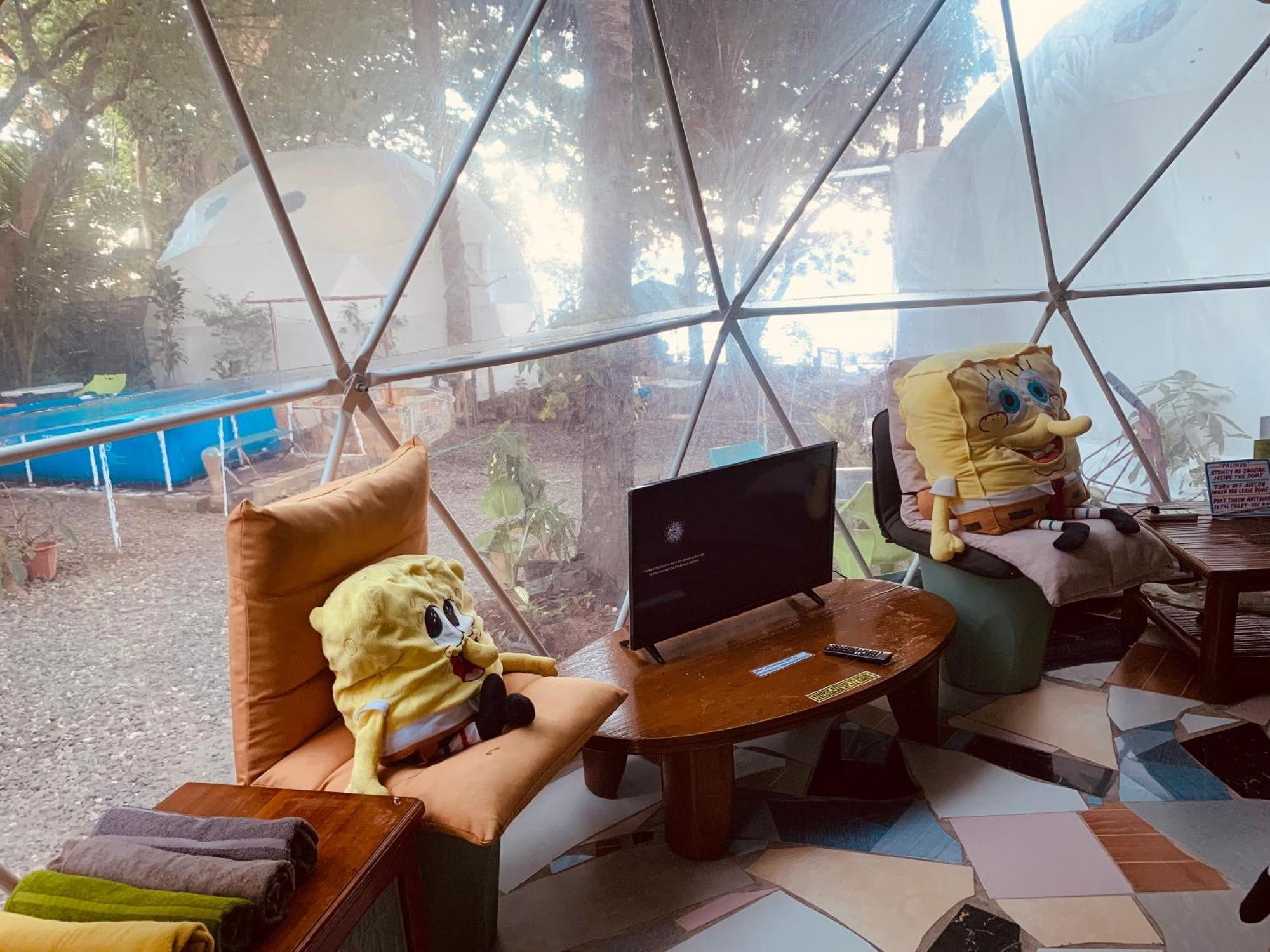 Glamping Dome Dauin Beach + Dive Resort Exterior foto