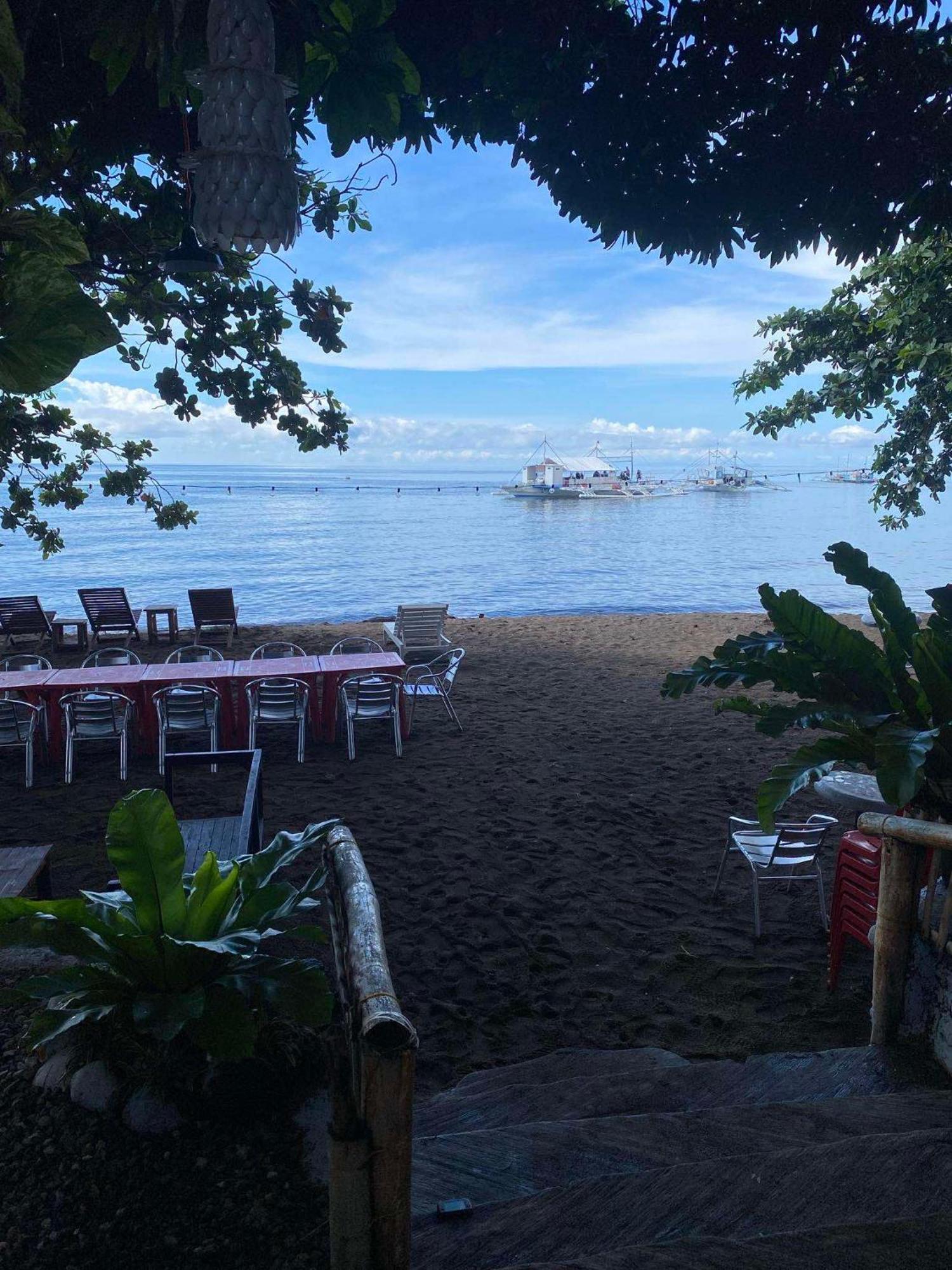 Glamping Dome Dauin Beach + Dive Resort Exterior foto